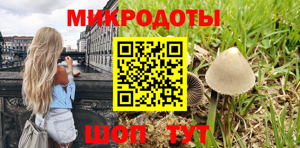 Псилоцибиновые грибы Cubensis Южноуральск